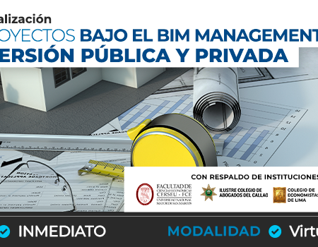 CURSO DE ALTA ESPECIALIZACIÓN GESTIÓN DE PROYECTOS BAJO EL BIM MANAGEMENT PARA LA INVERSIÓN PÚBLICA Y PRIVADA – Virtual